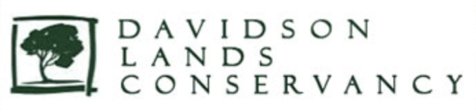Davidson Davidson