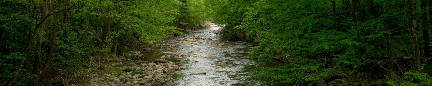 Investing in Resilient Watersheds