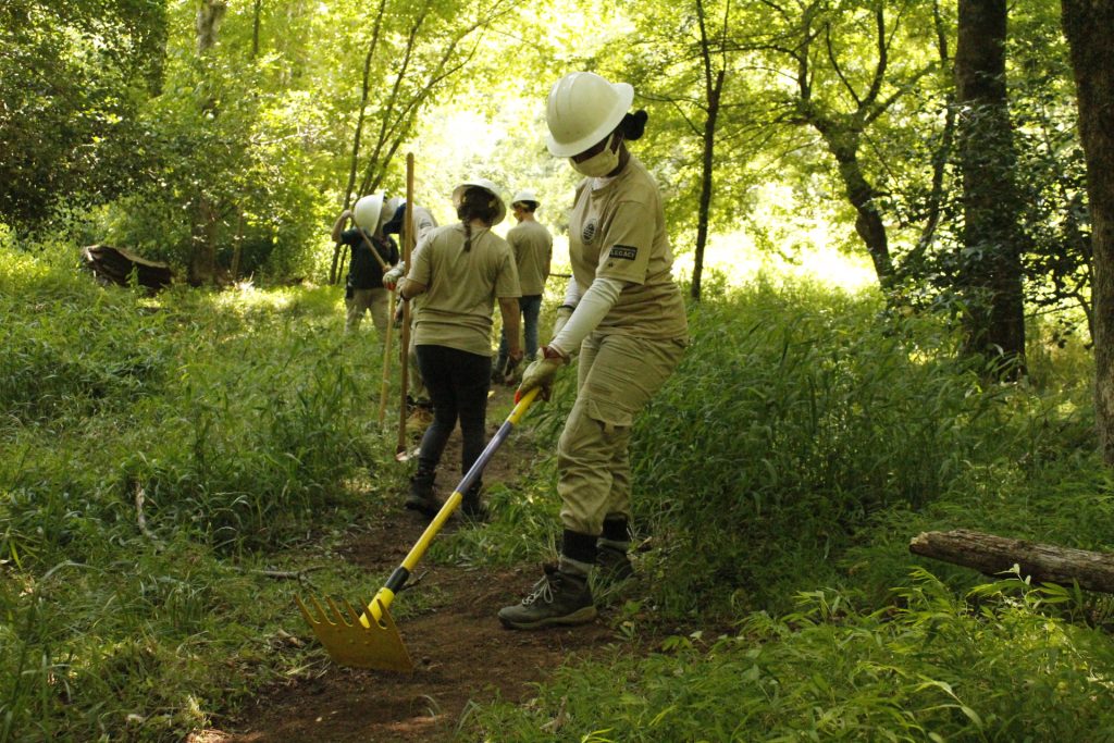 Conservation Corps North Carolina Archives - Conservation Trust for North Carolina