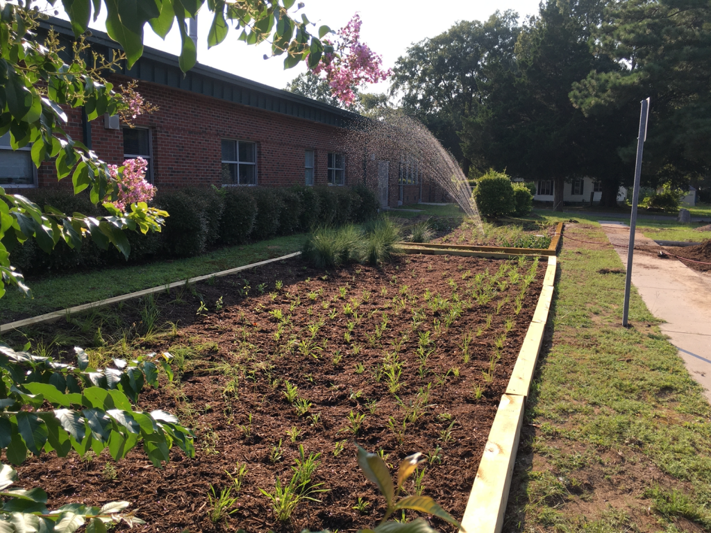 Princeville Rain Garden