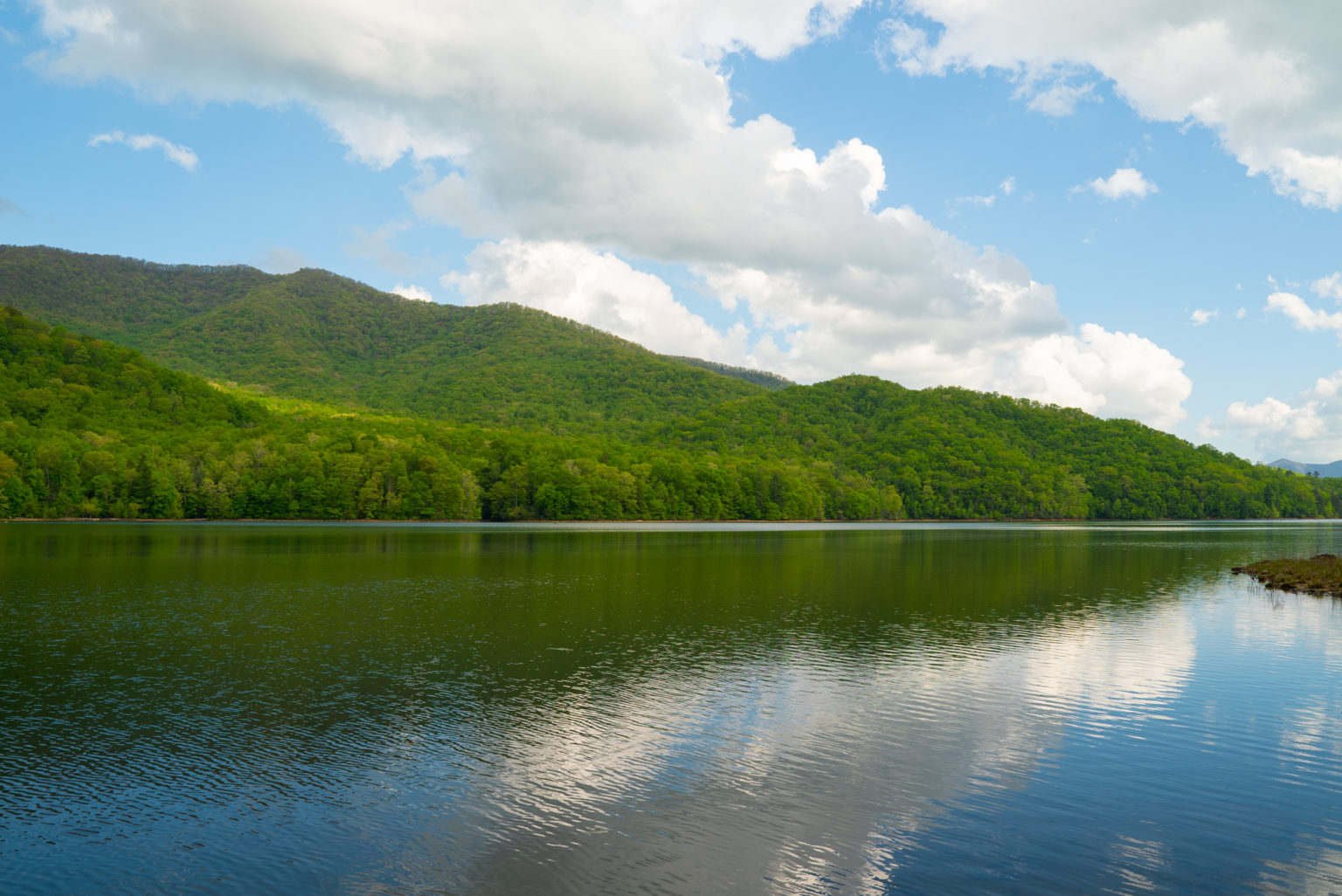 N.C. Budget is a Huge Win for Conservation - Conservation Trust for