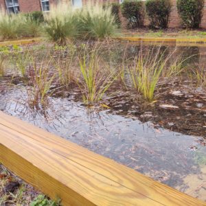 princeville rain garden