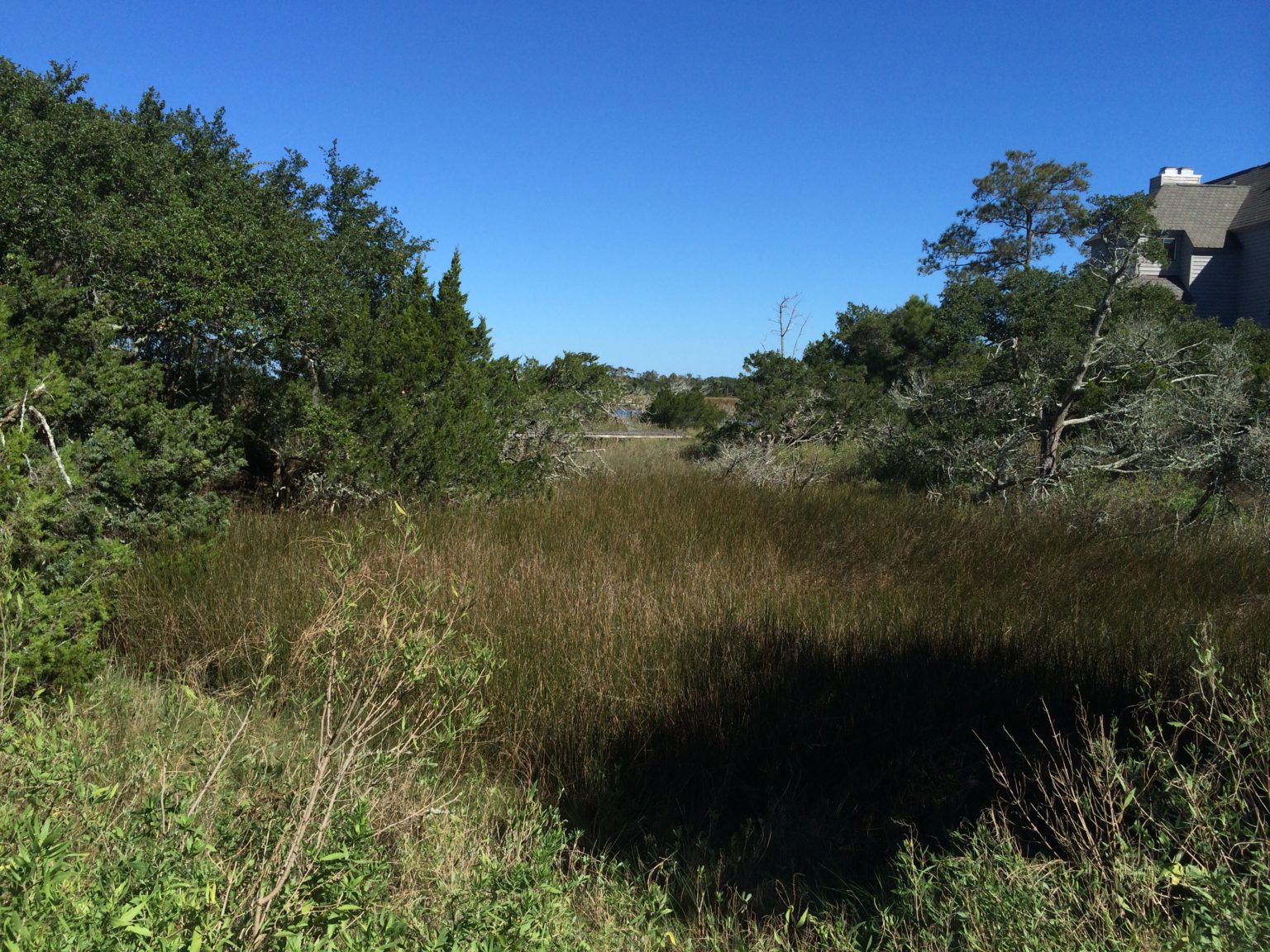 Bald Head Island Conservation Trust for North Carolina