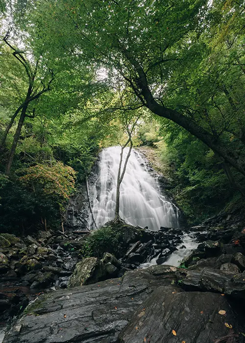 waterfall at crabtree falls