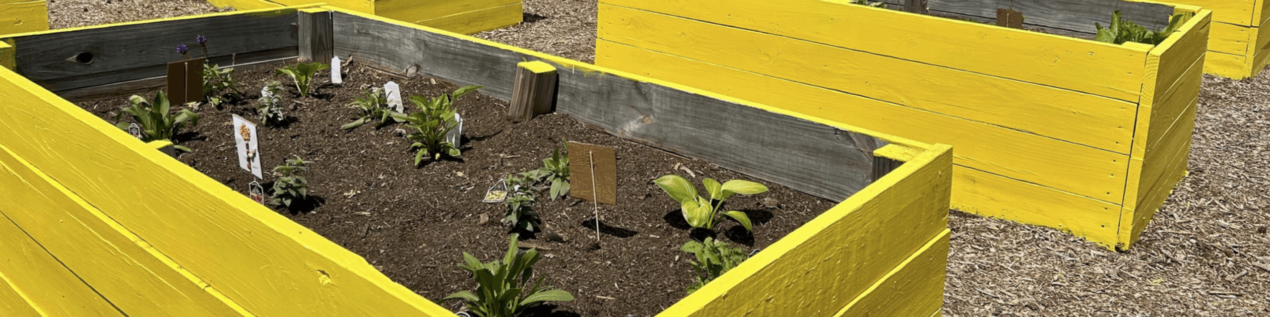 The Princeville Community Garden’s Grand Opening 