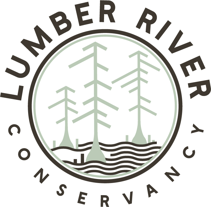 7841778-logo