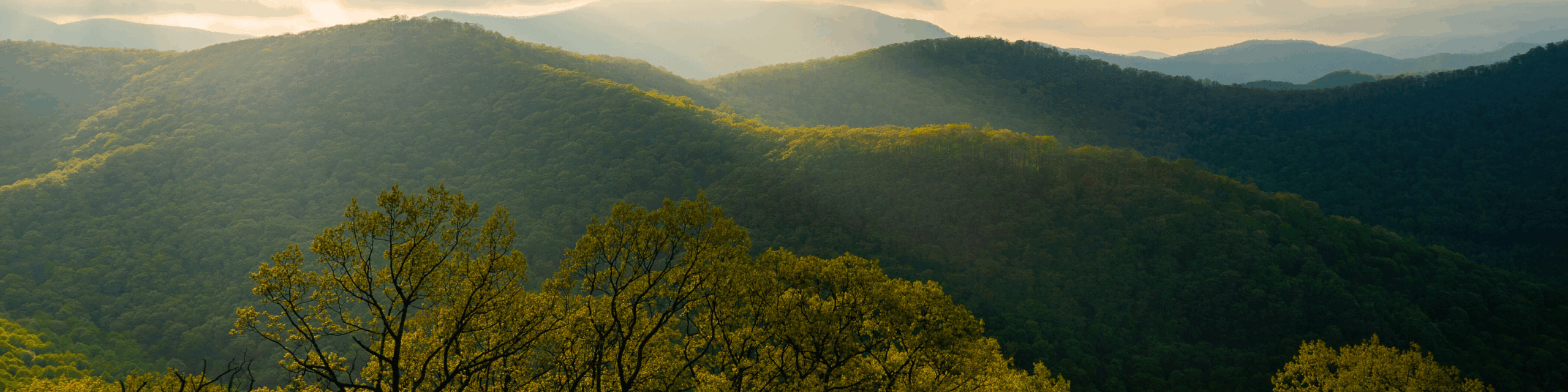 Experience the resilient beauty of Western North Carolina this fall 