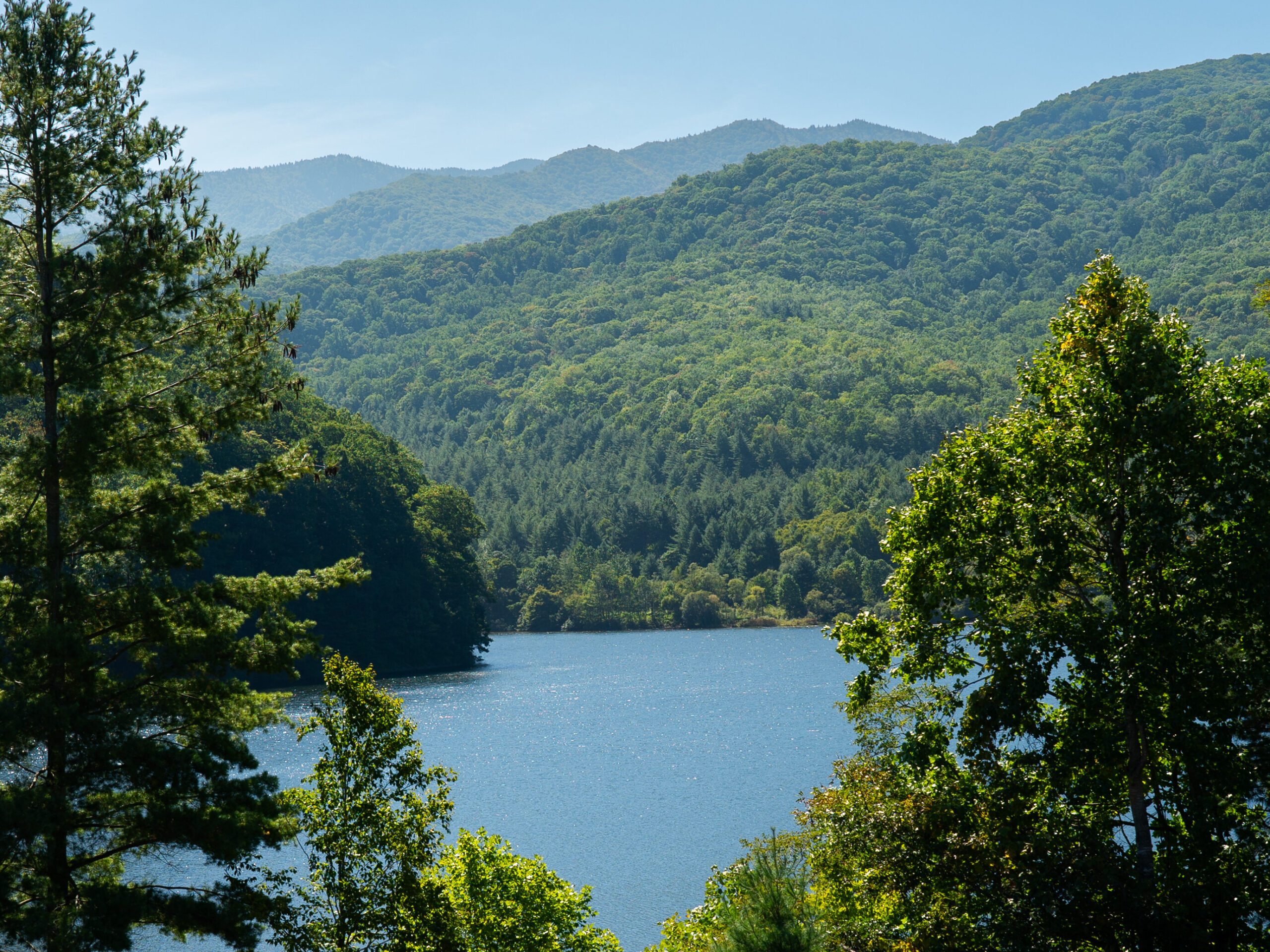 Arial view of the Waynesville Watershed.