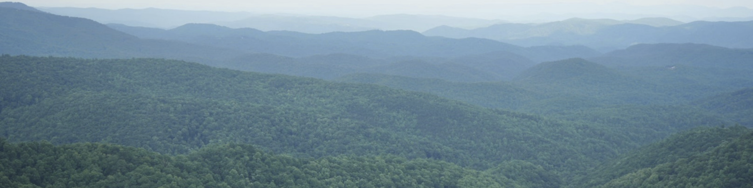 CTNC’s 2026 Conservation Celebration 
