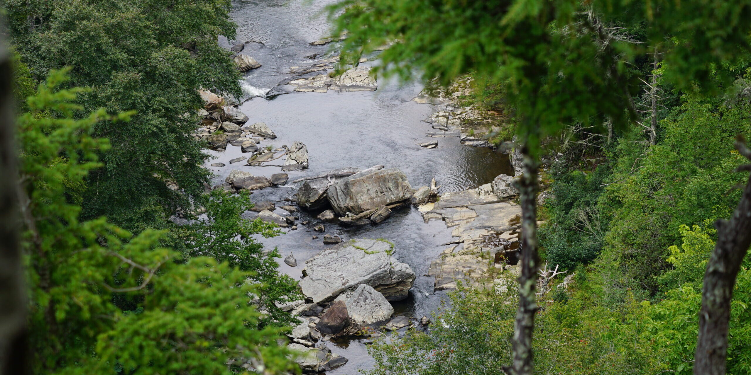 DSC03520